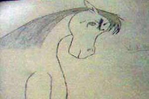 <img300*0:stuff/Wild_Thing.jpg>