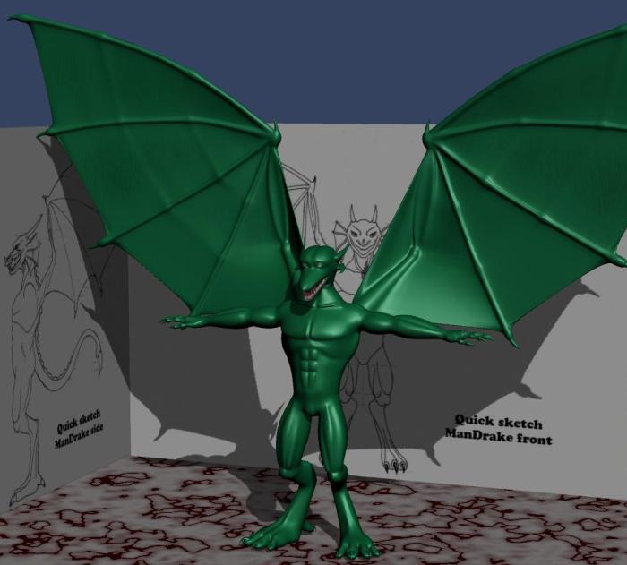 <img700*0:stuff/Wing-Test-03.jpg>