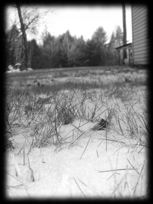<img500*0:stuff/WinterBegins.jpg>