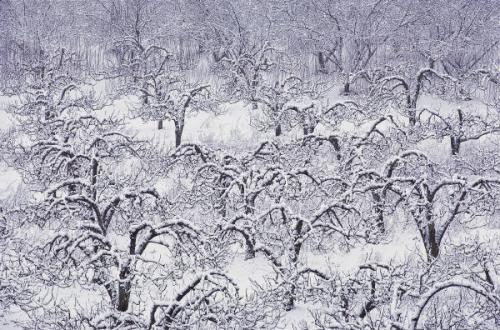 <img500*0:stuff/WinterScene01.jpg>