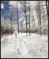 Winter Quest Stock INFO