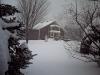 Winter_Wonderland