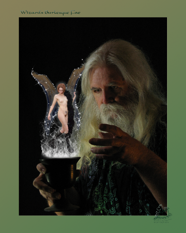 <img600*0:stuff/Wizards-Burlesque-Fae.png>