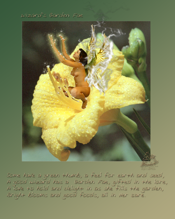 <img600*0:stuff/Wizards-Garden-Fae.png>