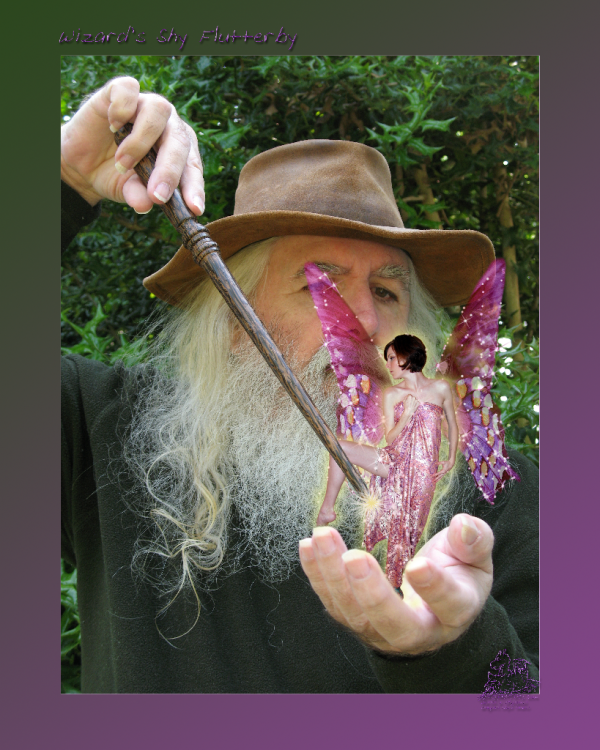 <img600*0:stuff/Wizards-shy-flutterby.png>
