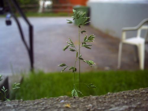 <img500*375:stuff/Woo..jpg>