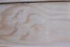 <img100*0:stuff/Wood_Dragon.jpg>