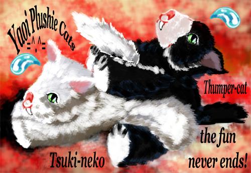 <img:stuff/Yaoi%20cat%20-the%20fun%20never%20ends.jpg>