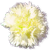 <img:stuff/YelCarnBullet.png>