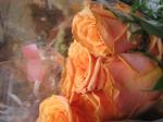 <img150*0:stuff/YellowRoses.jpg>