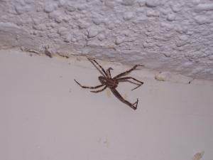 <img300*0:stuff/You_Don%27t_See_Me.jpg>
