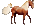 <img:stuff/YsHorse_left_test_rev.gif>
