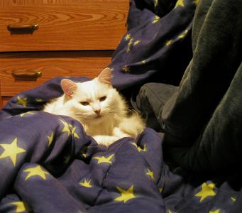 <img0*300:stuff/Yule%20N-n%2007.jpg>