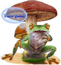 <img:stuff/YumYum200_rev.png>