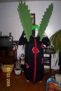 <img0*300:stuff/Zetsu.jpg>