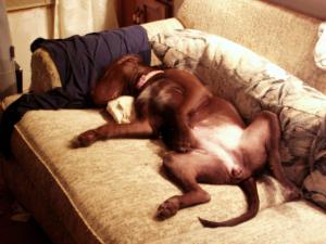 <img300*0:stuff/Zoie.jpg>