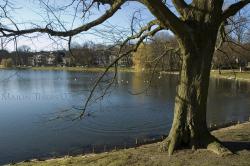 <img250*0:stuff/_DSC0686.JPG>