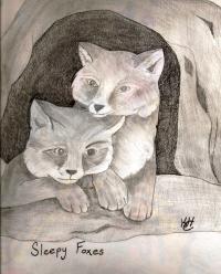 <img200*0:http://elftown.heddate.com/stuff/_Sleepy_Foxes.jpg>