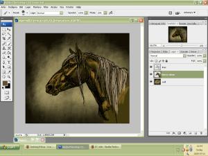 <img300*0:stuff/aaaa2.jpg>