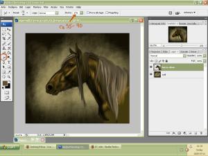 <img300*0:stuff/aaaa3.jpg>