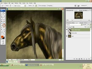 <img300*0:stuff/aaaa4.jpg>