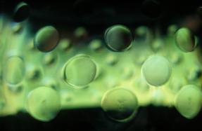 <img287*0:stuff/abstract1_oc.jpg>