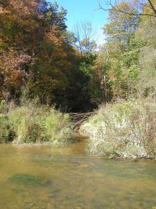 <img0*300:stuff/across%20the%20river.jpg>