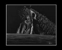 <img200*0:stuff/acrylic_bw4.jpg>