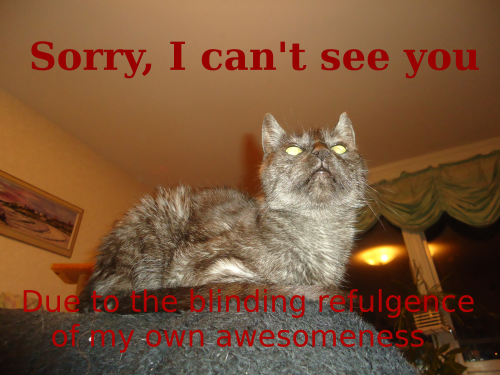 <img500*0:stuff/aj/1/1375053386.png>