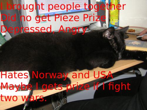 <img500*0:stuff/aj/1/Kali_Peace_Prize.jpg>