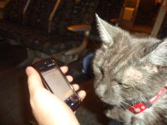 <img240*0:stuff/aj/1/LiloPhone.jpg>