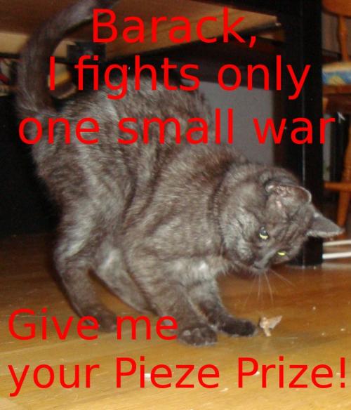 <img500*0:stuff/aj/1/Lilo_Peace_Prize.jpg>