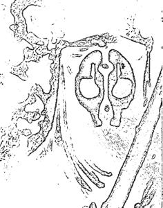 <img0*300:stuff/aj/101743/1305569172.jpg>