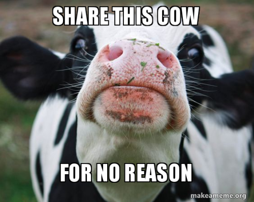 <img500*0:stuff/aj/11046/SocialistCow.png>