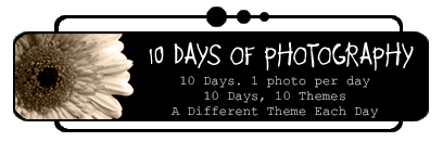 <img:stuff/aj/11111/10_Days_Of_PhotographyBanner.gif>