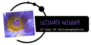 <img300*0:stuff/aj/11111/10_Days_UltimateWinner.png>