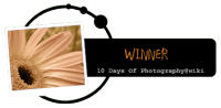 <img200*0:stuff/aj/11111/10_Days_Winner.png>
