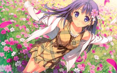 <img400*0:stuff/aj/112072/1354692208.jpg>