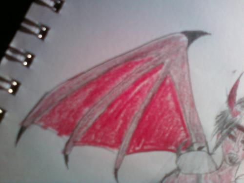 <img500*0:stuff/aj/12613/1264862737.jpg>