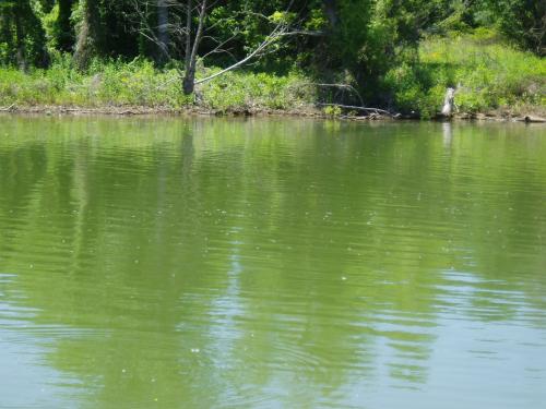 <img500*0:stuff/aj/12908/1246019216.jpg>