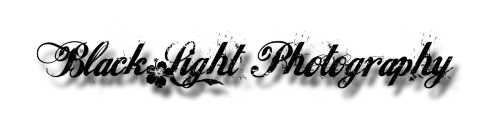 <img:http://elftown.heddate.com/stuff/aj/132354/Banner.png?y=0&x=500>