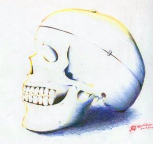 <img300*0:stuff/aj/132759/Skull%20Still%20Life.jpg>