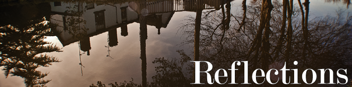 <img:stuff/aj/137699/chimesreflecbanner.png>