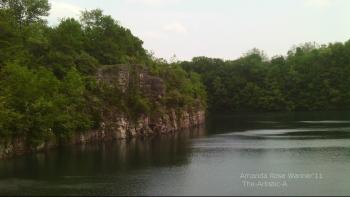 <img350*0:stuff/aj/166925/Wild_Wonders2011.jpg>