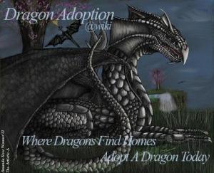 <img300*0:stuff/aj/166925/dragonadoptionbanner2011.jpg>