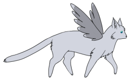 <img263*0:stuff/aj/1675/cashright.png>