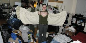 <img300*0:stuff/aj/1675/harpywingsbase2.jpg>