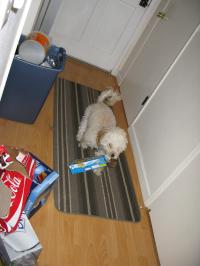 <img200*0:stuff/aj/1675/proofpics13333.jpg>
