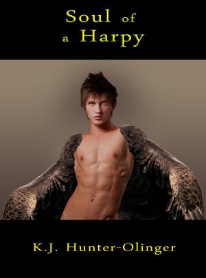 <img300*0:stuff/aj/1675/soulharpytitle.jpg>