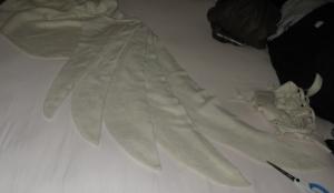 <img300*0:stuff/aj/1675/wingprimaries1.jpg>